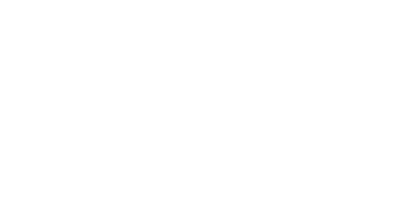 Logo FENZL weiß